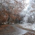 Exploring the Vibrant Environmental Celebrations in Central Arizona